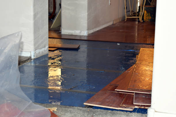 Professional Water Damage Restoration technician working in Plano, TX